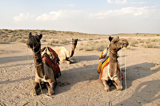 Tour image 6