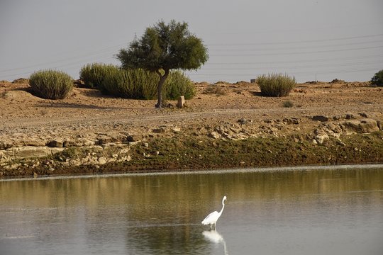 Tour image 12