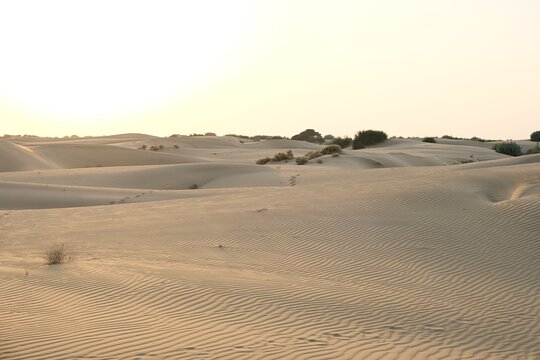 Tour image 7