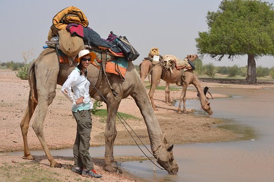 Tour image 8